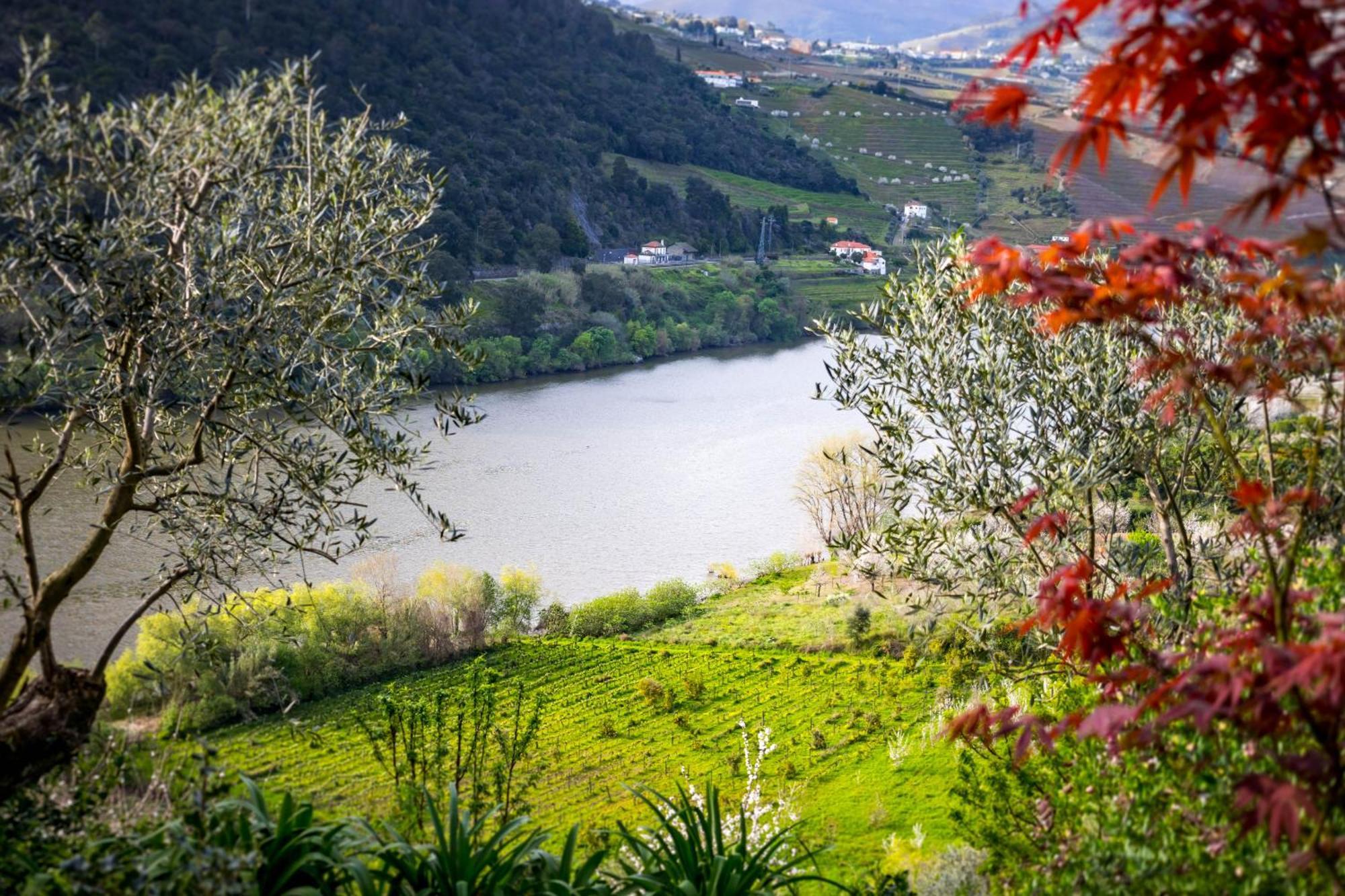 Fraga Douro House, Douro Valley Resende Kültér fotó